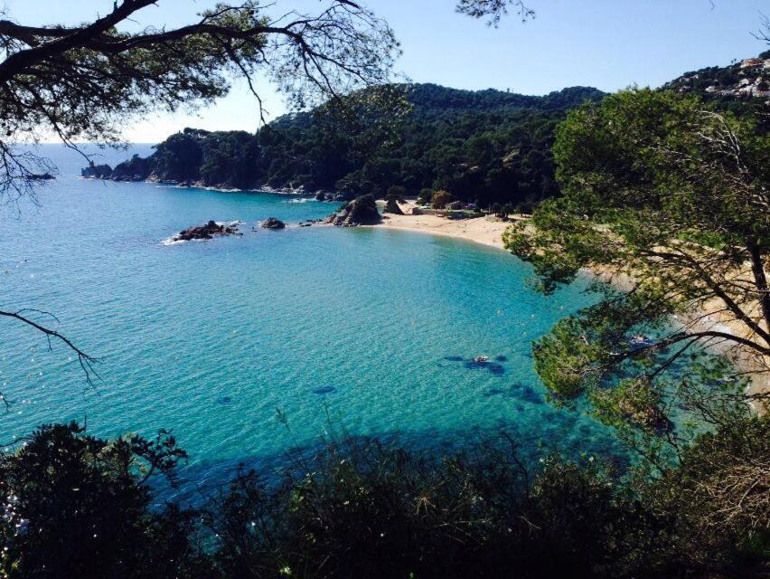 Appartements Les Pesquiers 2 Hyeres Plage Buitenkant foto